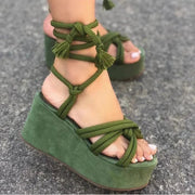 Vert